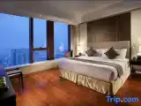 Deluxe Suite with city view