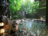 Standard Japanese-Style room