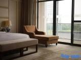 Business Suite with lake view