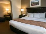 Single Suite