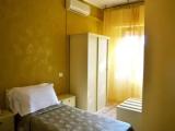 Standard Double room with balcony and with garden view