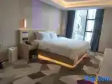 1 Bedroom Deluxe Suite with view