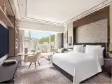 Premier Twin room with peak view