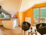 Double Suite with mountain view