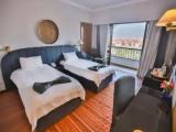 Deluxe Double room with city view