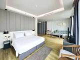 Double Mini Suite