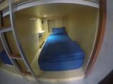Bed in Dorm