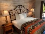 Standard room with view