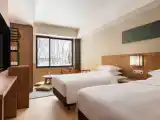 Premium with Hot Spring Bath Twin room