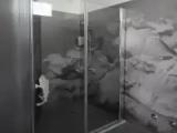 Quintuple Family Suite
