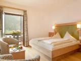Standard Double room with lake view