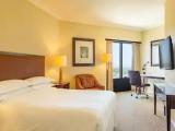 Standard Single Club room