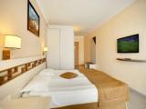 Standard Double room with pool view
