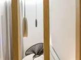 Superior Suite with sea view