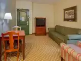 1 Bedroom Suite