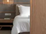 Superior Suite with view