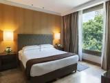 Deluxe Double room with garden view