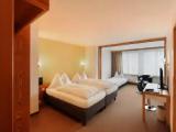 Standard Triple room with mountain view