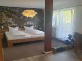 Comfort Double room with balcony