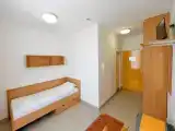 Standard Single room with garden view