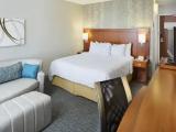 Standard Double room with balcony and with mountain view