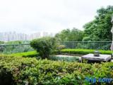 Standard room with garden view