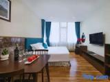 Executive Double Studio with city view