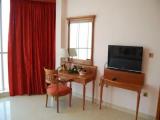 Executive Double Suite