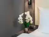 Standard Single room with park view