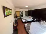 Deluxe Triple room with city view