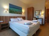 Standard Double room with garden view