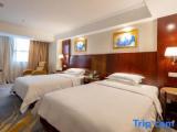 Premium Suite