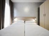 Deluxe Double room with balcony and with park view