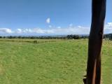 Standard Double room with ocean view