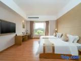 Standard Double Family room