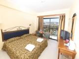 Standard Double room with balcony and with garden view