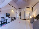 Grand Single room with garden view