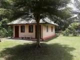 Bungalow with garden view