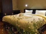 Standard Double room with garden view