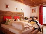 Standard Double room with balcony and with mountain view