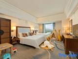 Standard Twin Family room