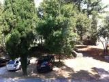 Standard Double room with park view