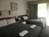 Standard Quintuple Family room