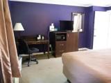 Standard room with city view