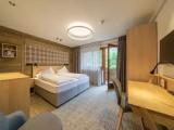 Standard Double room with balcony and with mountain view