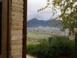 Studio with garden view