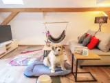 1 Bedroom Apartment with balcony