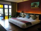 Deluxe Single room with city view