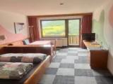 Standard Double room with balcony and with mountain view