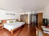 Deluxe Double room with garden view
